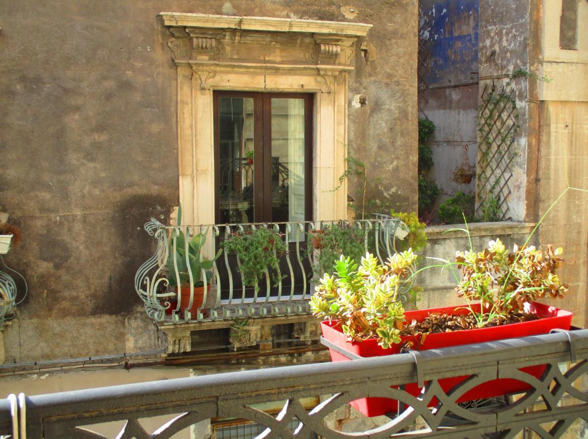 Bed and Breakfast Diletta Oasi CTA Exterior foto