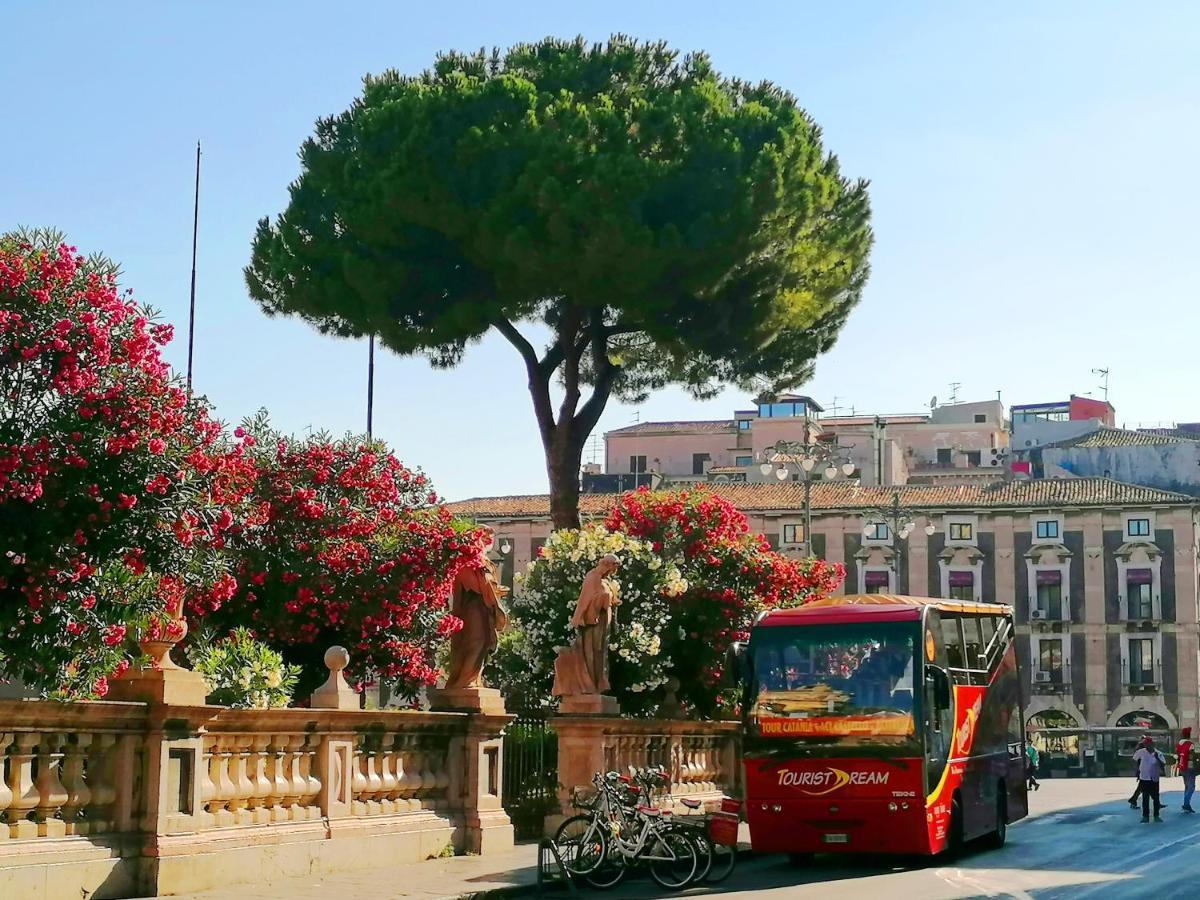 Bed and Breakfast Diletta Oasi CTA Exterior foto