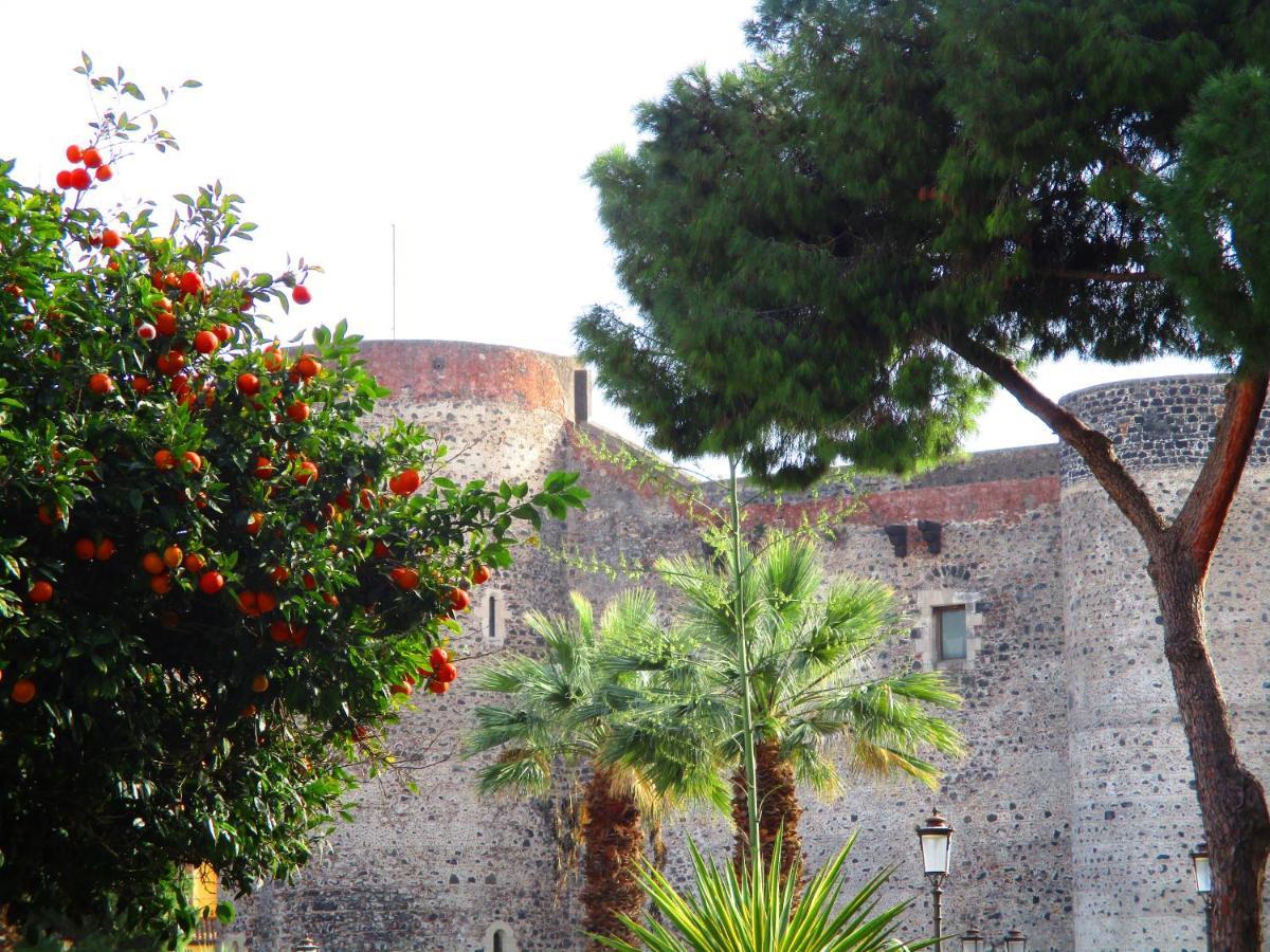 Bed and Breakfast Diletta Oasi CTA Exterior foto