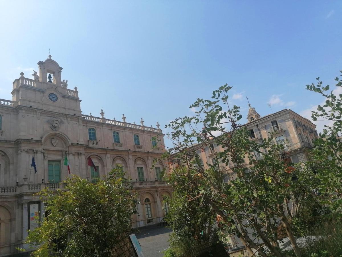 Bed and Breakfast Diletta Oasi CTA Exterior foto